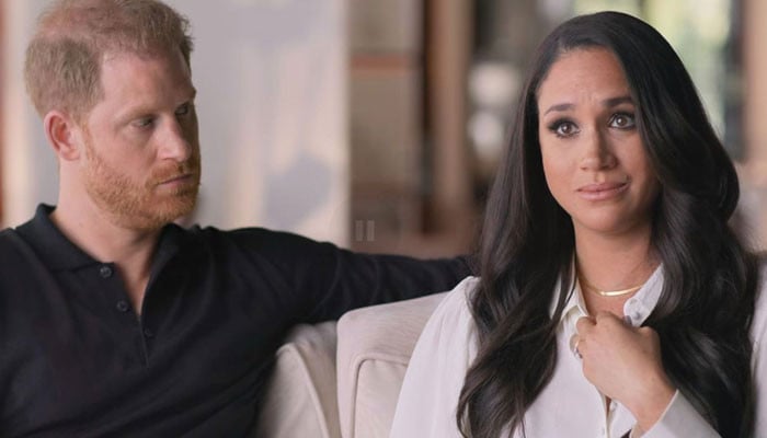 Prince Harry, Meghan Markle Starting A ‘criminal Case Seems Far-fetched’