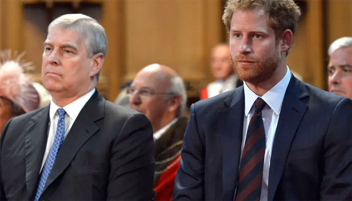 Prince William sees Prince Andrew as a problem just like Prince Harry?