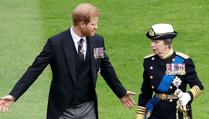 Princess Anne can possibly reunite Prince Harry and Prince William