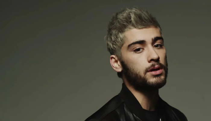 ‘I owe my life to you’: Zayn Malik thanks fans as he returns to Twitter