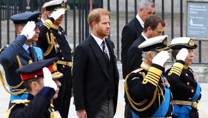 Prince Harry on mission to wreak reputational damage to royal household?