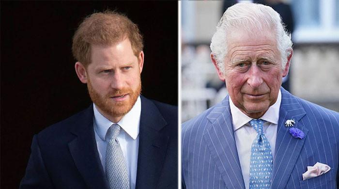 Prince Harry to ‘completely annihilate’ the Royal Family