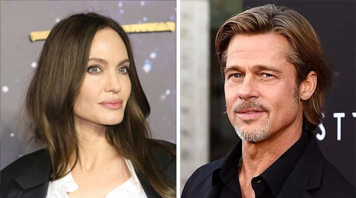 Angelina Jolie slams Brad Pitt’s new filings branding her ‘vindictive’