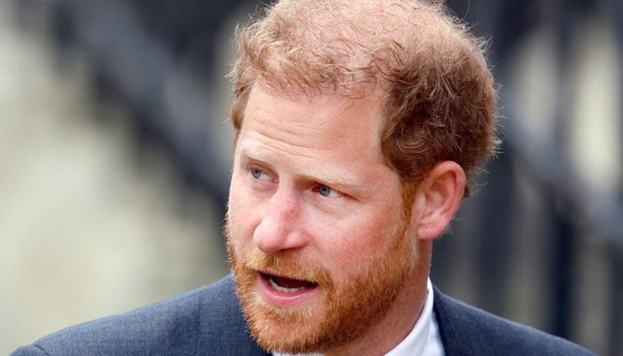 Prince Harry ‘wastes $23.49 million like a hot knife through Jersey butter’