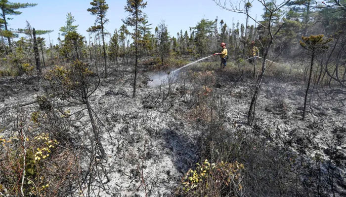 Climate change: Canadian wildfires impact air quality in USA's Midwest