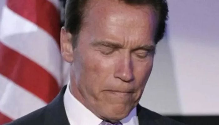 Arnold Schwarzenegger previously dismissed the groping allegations