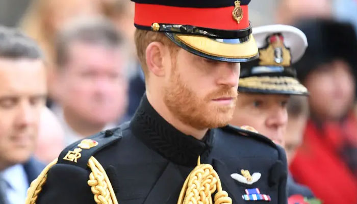 Prince Harry ‘won’t stop flogging family secrets’: ‘What excuse does he have’