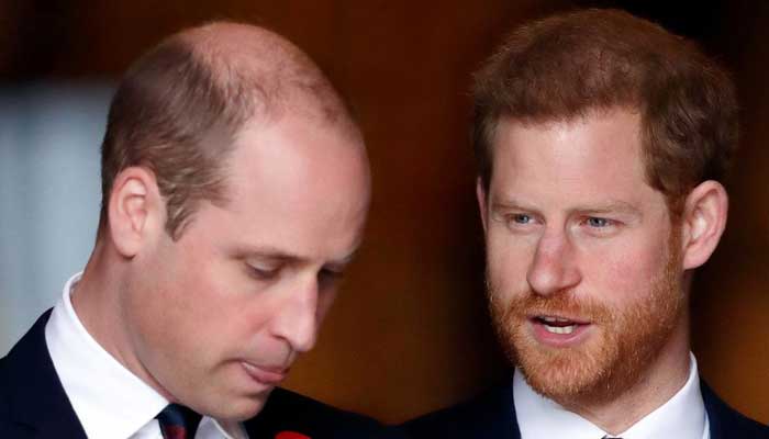 Prince William betrays his mother Diana and Prince Harry