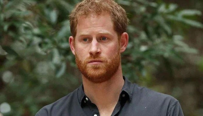 Prince Harry’s ‘offensiveness’ Against King Charles Is ‘unraveled’