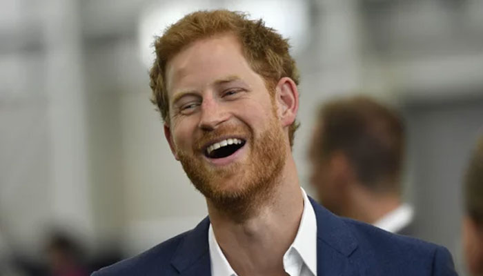 Prince Harry branded a ‘a constitutional liability’: report