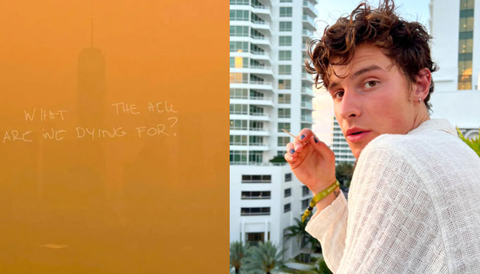 Shawn Mendes releases new single, sparking mixed reactions