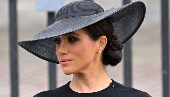 Meghan Markle latest addition to ‘long line’ who suffered due to royalty