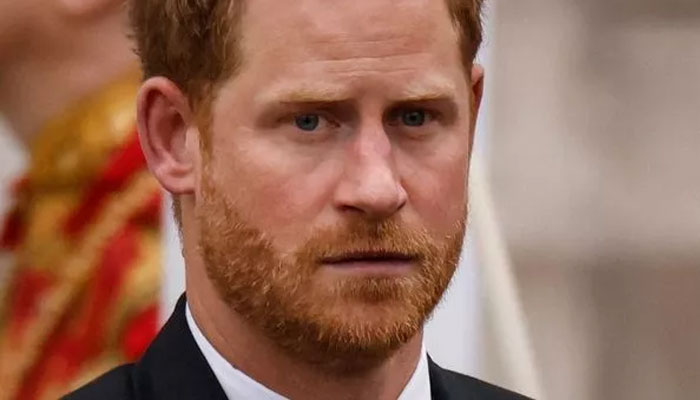 Prince Harry’s memoir is ‘fatal to someone of his nature’