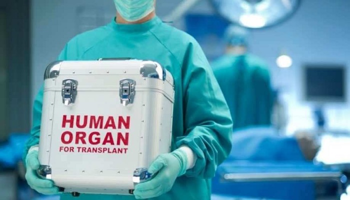 A healthcare official carries a human organ container in this illustration. — AFP/File