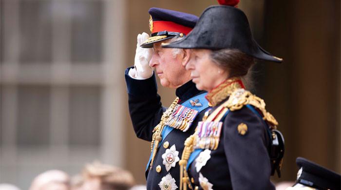 The King presents new Sovereign's Standard to the Blues and Royals at  Buckingham Palace