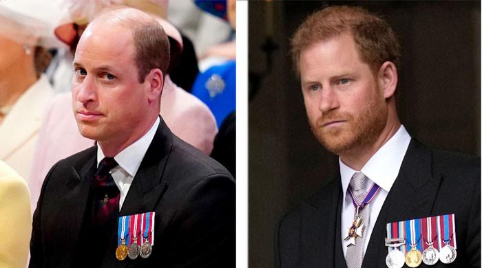 Prince William Talks ‘fights And Rifts’ With Prince Harry