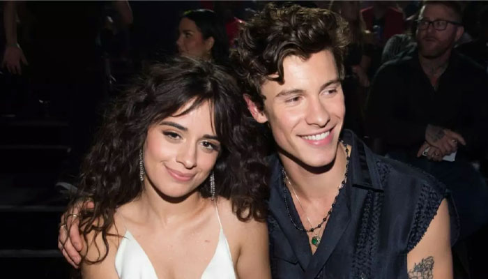 Shawn Mendes and Camila Cabello not dating anymore, source reveals