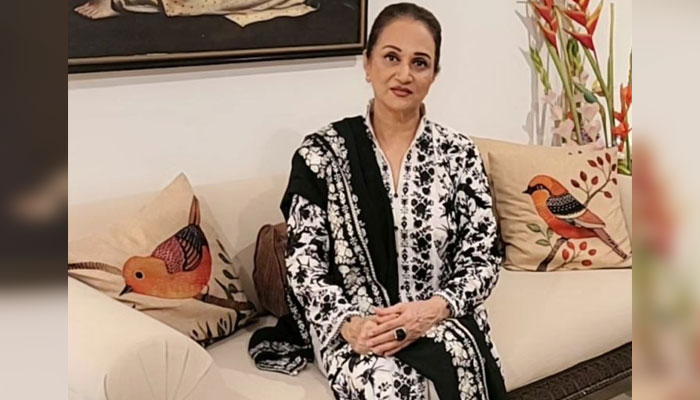 Veteran actor and singer Bushra Ansari. — Instagram/@ansari.bushra