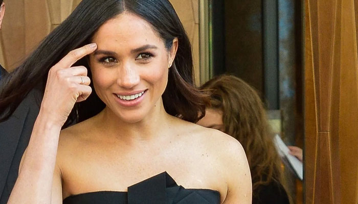 Meghan Markle, Prince Harry are ‘transient and lack a goal’