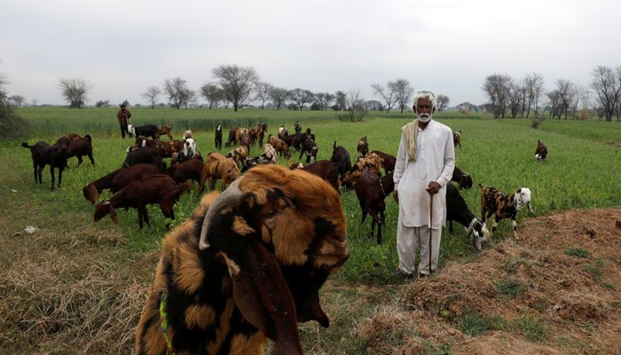 Dilawar Khan (C), father of Muhammad Ali, 21, who along with others died when a migrant boat shipwrecked off the coast near Benghazi in Libya, sits with people who came to attend a prayer after his sons funeral, at his family home in Bhojpur town in Gujrat district of Punjab province, Pakistan March 7, 2023.