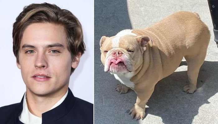 Actor Dylan Sprouse grieves passing of beloved dog