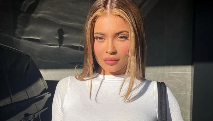 The media personality showed off her famous pout for her massive 396 million Instagram following