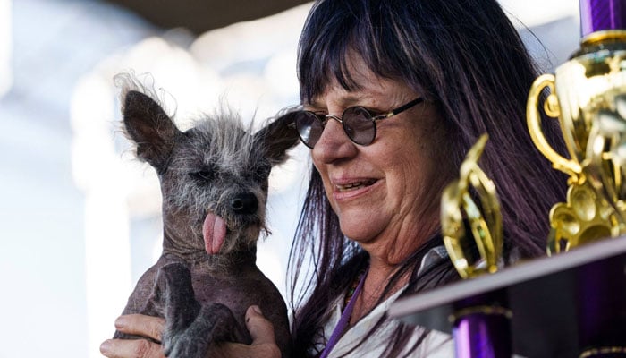 Worlds ugliest dog winner Chinese Scooter can be seen in this picture alongside his owner on June 24, 2023. — AFP