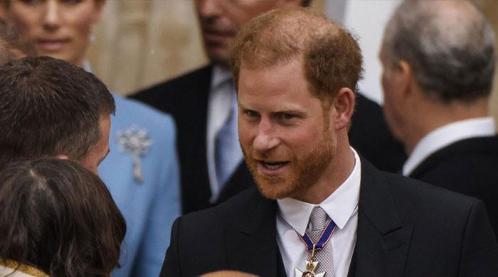 Prince Harry is ‘willing to risk everything’ for a chance to see press ...