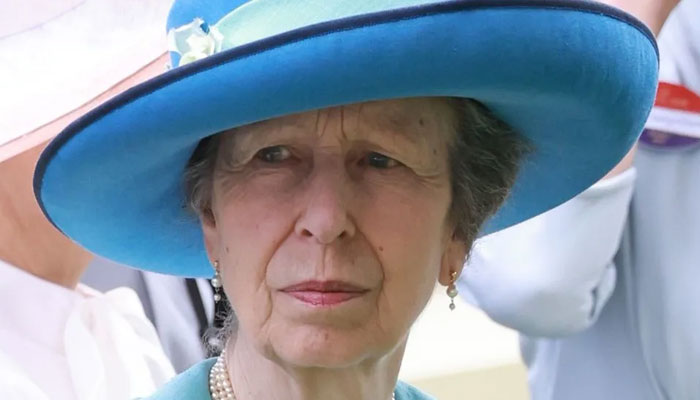 Princess Anne had murder attempt without 'hint' from 'schizophrenia ...