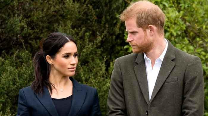 Prince Harry, Meghan Markle lambasted for their 'unforgivable' stunt