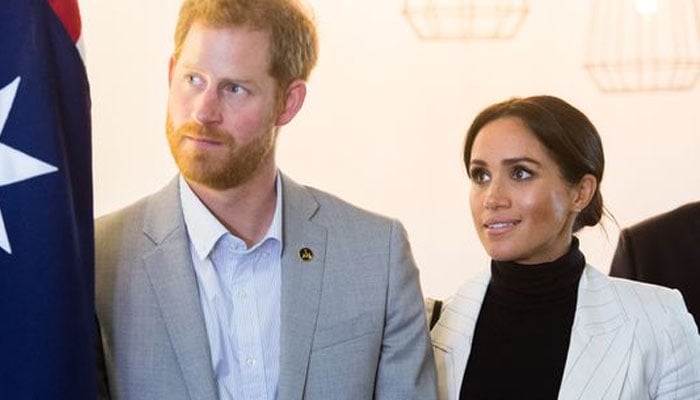 Prince Harry, Meghan Markle are ‘now too obscure’ to survive