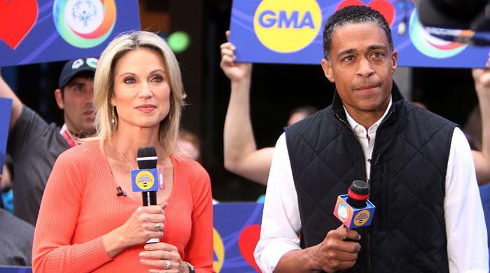 Amy Robach and T.J. Holmes 'hits brake' on public love display