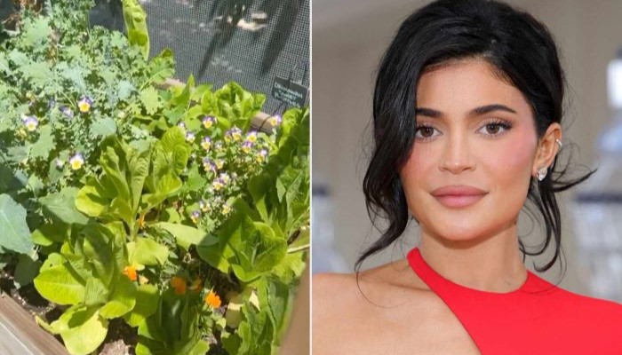 Kylie Jenner shares home garden revealing sweet potato, pomegranate plants and more