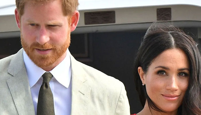 Prince Harry, Meghan Markle serve as ‘catnip to the haters’