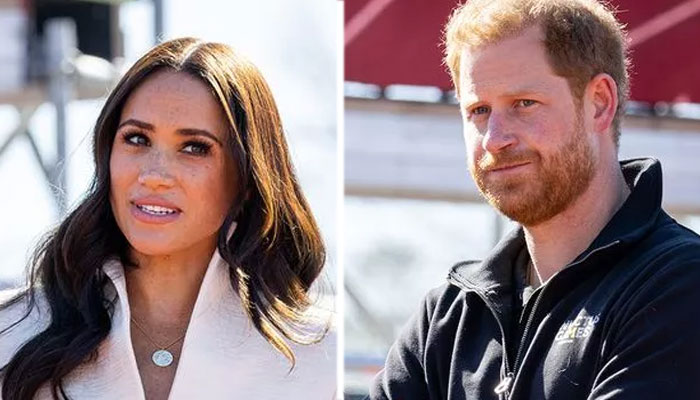 Prince Harry, Meghan Markle facing a very ‘professionally bruising chapter’