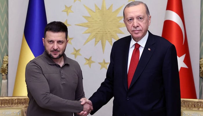 Ukrainian President Volodymyr Zelensky (L) meets his Turkish counterpart Recep Tayyip Erdogan in Istanbul on July 7, 2023. — Reuters