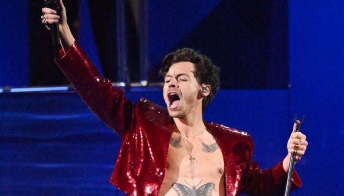 Harry Styles struck in the face by flying object during Vienna concert on Love On Tour