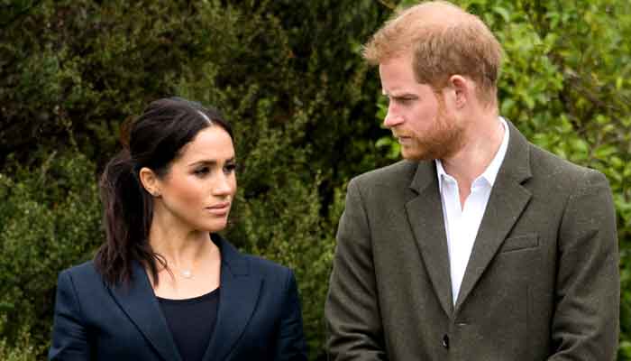 Meghan Markle, Prince Harrys business of trashing royal family not running well?