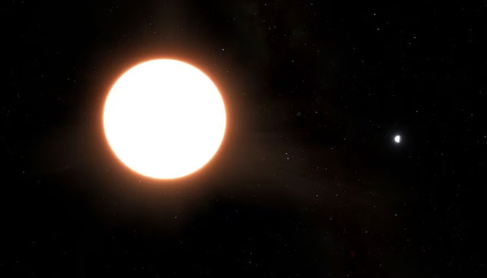 An artists impression of the exoplanet LTT9779b orbiting its host star, located 264 light years from Earth, is seen in this image. Reuters