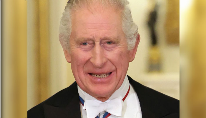 King Charles’ been a ‘royal geisha’ for more than 50 years: report