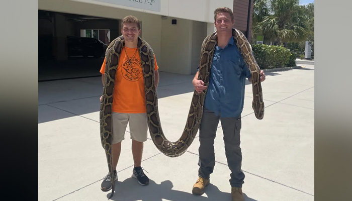 Stephen Gauta (left), and 22-year-old Jake Waleri can be seen standing with the longest-ever Burmese python. — Website/The Conservancy of Southwest Florida