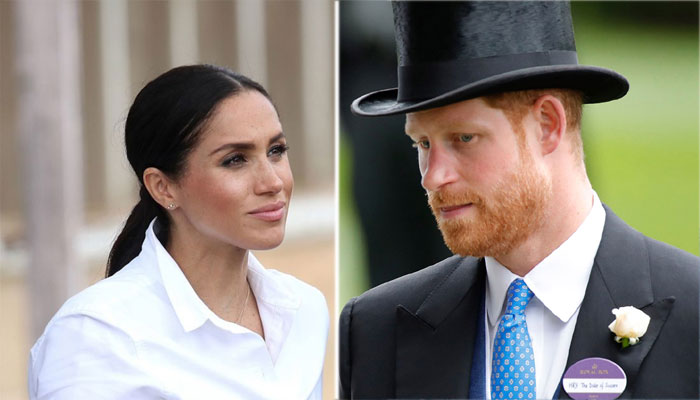 Prince Harry, Meghan Markle are ‘painting a grimmer picture’