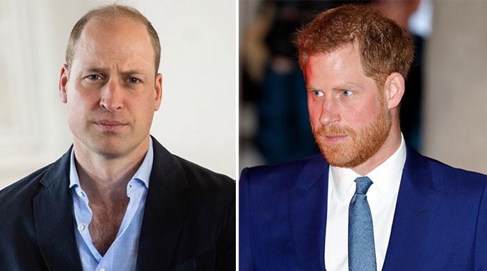 Prince Harry ridiculed for not winning against ‘bully big brother’