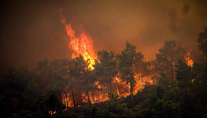 This photograph taken on July 22, 2023, shows pine trees burning in a wildfire on the Greek island of Rhodes. — AFP