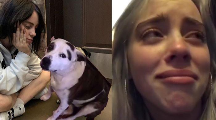 Billie Eilish in tears after dog Pepper loss