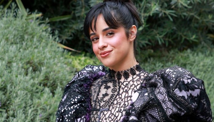 Camila Cabello indulged in a playful skinny-dipping experience in Puerto Rico