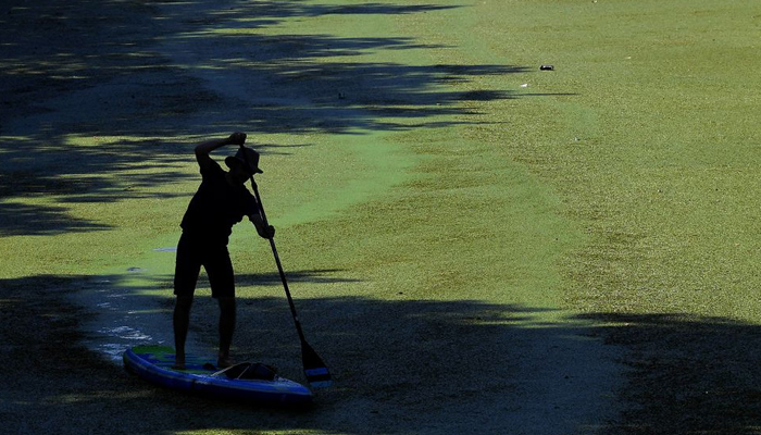 A man uses a paddle board to propel himself through Regents Canal, which is covered in algae and weed, in London, Britain. — Reuters