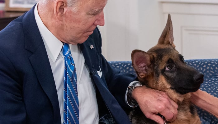 US President Joe Biden pets his new dog Commander as he speaks virtually with military service members, from the South Court Auditorium of the White House in Washington, DC, on December 25, 2021. — AFP