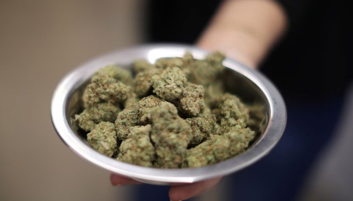 A woman holds marijuana for sale at the MedMen store in West Hollywood, California U.S. January 2, 2018. — Reuters