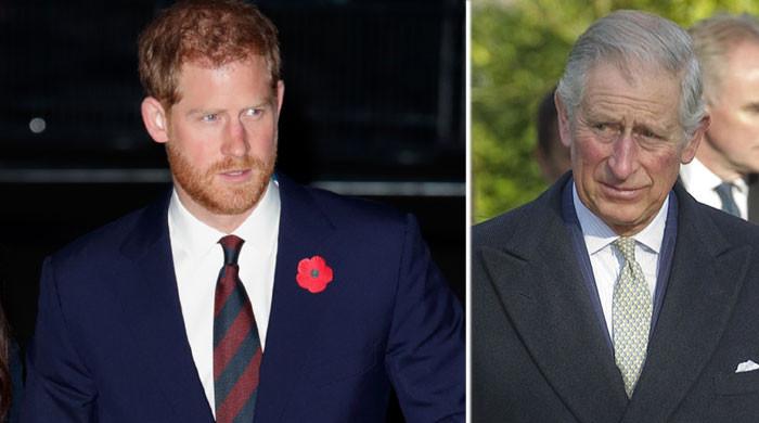 Prince Harry, Meghan Markle risking ‘humiliation’: ‘Plan to grovel’